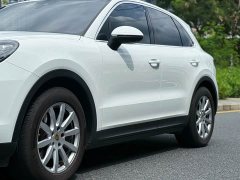 Porsche Cayenne 3.0T Platinum Edition - ფოტო 10