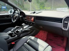 Porsche Cayenne 3.0T Platinum Edition - ფოტო 19