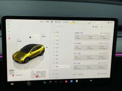 Tesla Model Y 2023 Rear-Wheel Drive - ფოტო 8
