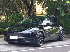 Tesla Model Y Long Range All-Wheel Drive 3D7 - ფოტო 1