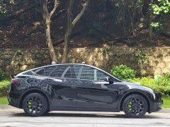 Tesla Model Y Long Range All-Wheel Drive 3D7 - ფოტო 13