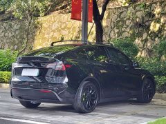 Tesla Model Y Long Range All-Wheel Drive 3D7 - ფოტო 14