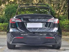 Tesla Model Y Long Range All-Wheel Drive 3D7 - ფოტო 15
