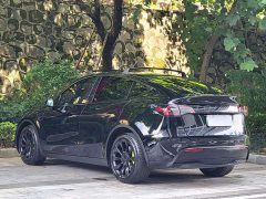 Tesla Model Y Long Range All-Wheel Drive 3D7 - ფოტო 16