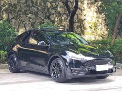 Tesla Model Y Long Range All-Wheel Drive 3D7 - ფოტო 3