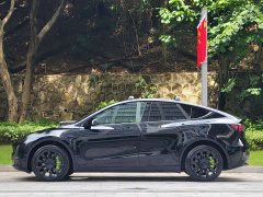 Tesla Model Y Long Range All-Wheel Drive 3D7 - ფოტო 7