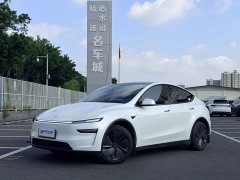 Tesla Model Y Rear-Wheel Drive Launch Edition - ფოტო 1