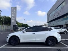 Tesla Model Y Rear-Wheel Drive Launch Edition - ფოტო 3
