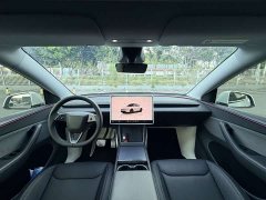 Tesla Model Y Rear-Wheel Drive Launch Edition - ფოტო 8