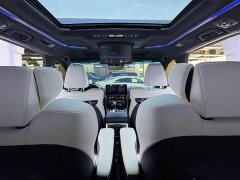 Lexus LM 2020 300h 7-Seater Elegant Edition - ფოტო 13