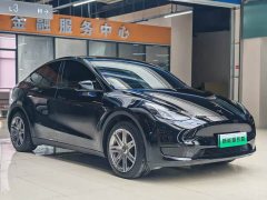 Tesla Model Y 2022 Facelift Rear-Wheel Drive - ფოტო 2