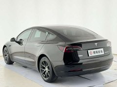 Tesla Model 3 Standard Range RWD Upgrade 3D6 - ფოტო 11