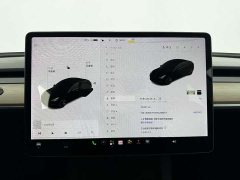 Tesla Model 3 Standard Range RWD Upgrade 3D6 - ფოტო 14