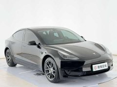 Tesla Model 3 Standard Range RWD Upgrade 3D6 - ფოტო 3