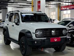 Tank 300 Off-Road Edition 2.0T Conqueror - ფოტო 3