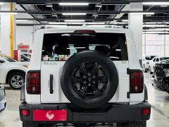 Tank 300 Off-Road Edition 2.0T Conqueror - ფოტო 8