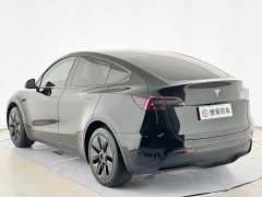 Tesla Model Y Rear-Wheel Drive - ფოტო 11