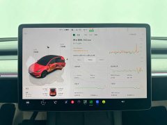 Tesla Model Y Rear-Wheel Drive - ფოტო 14