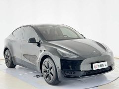Tesla Model Y Rear-Wheel Drive - ფოტო 4