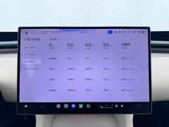 Xiaomi YU7 Four-Wheel Drive Max Edition - ფოტო 14