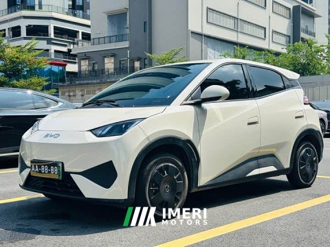 2025 BYD Seagull 305km Vitality Edition - ავტომობილი ჩინეთიდან