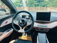 BYD Seagull 305km Vitality Edition - ფოტო 11