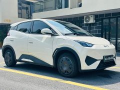 BYD Seagull 305km Vitality Edition - ფოტო 3