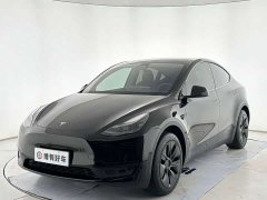Tesla Model Y Rear-Wheel Drive - ფოტო 1