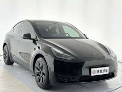 Tesla Model Y Rear-Wheel Drive - ფოტო 3
