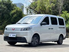Wuling Hongguang EV 310km Passenger Vehicle Standard Edition - ფოტო 1