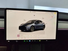 Tesla Model Y Rear-Wheel Drive - ფოტო 13