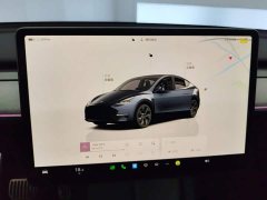 Tesla Model Y Rear-Wheel Drive - ფოტო 14