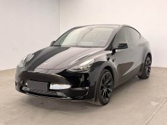 Tesla Model Y Long Range All-Wheel Drive 3D7 - ფოტო 1