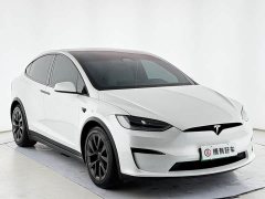 Tesla Model X Dual Motor All-Wheel Drive - ფოტო 4