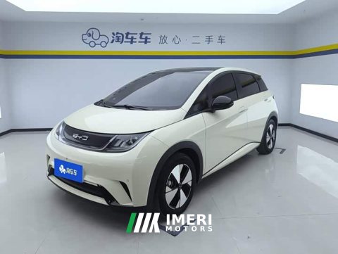 2023 BYD Dolphin 420km Fashion Edition - ავტომობილი ჩინეთიდან