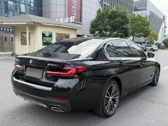 BMW 5 Series 530Li Premier M Sport Package - ფოტო 19