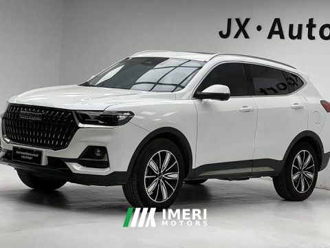 2023 Haval H6 National Trend Edition 1.5T Automatic Champion Version - ავტომობილი ჩინეთიდან