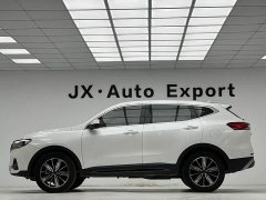 Haval H6 National Trend Edition 1.5T Automatic Champion Version - ფოტო 20