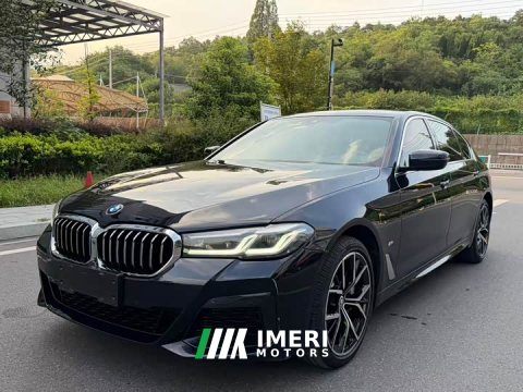 2022 BMW 5 Series 530Li Luxury M Sport Package - ავტომობილი ჩინეთიდან