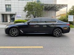 BMW 5 Series 530Li Luxury M Sport Package - ფოტო 15