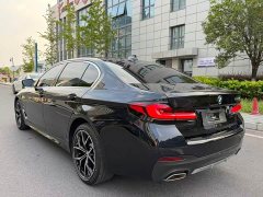 BMW 5 Series 530Li Luxury M Sport Package - ფოტო 16