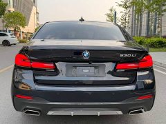 BMW 5 Series 530Li Luxury M Sport Package - ფოტო 17