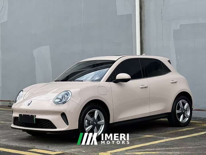 ORA Good Cat 2025 430km Luxury - ავტომობილი ჩინეთიდან