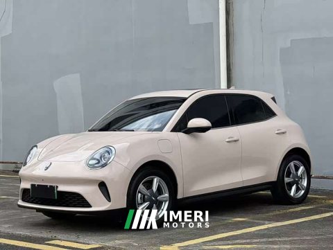 2026 ORA Good Cat 2025 430km Luxury - ავტომობილი ჩინეთიდან