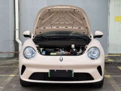 ORA Good Cat 2025 430km Luxury - ფოტო 11