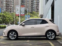 ORA Good Cat 2025 430km Luxury - ფოტო 12