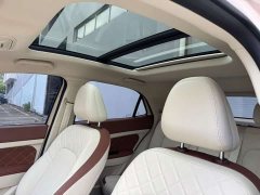 ORA Good Cat 2025 430km Luxury - ფოტო 13