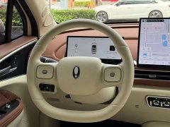 ORA Good Cat 2025 430km Luxury - ფოტო 20
