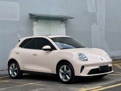 ORA Good Cat 2025 430km Luxury - ფოტო 3