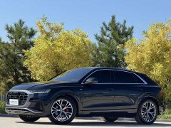 Audi Q8 2022 55 TFSI Premium Dynamic - ფოტო 1